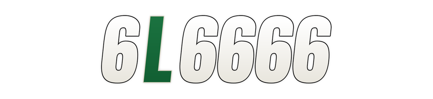 6l6666